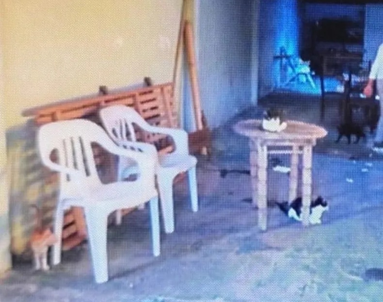 Foto