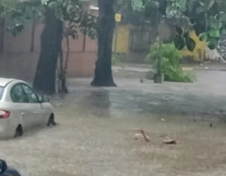 Imagen Noticia